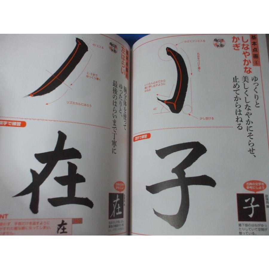 今日からはじめる書道 DVD付 : 森の広場ヤフーショップ - 通販 - Yahoo