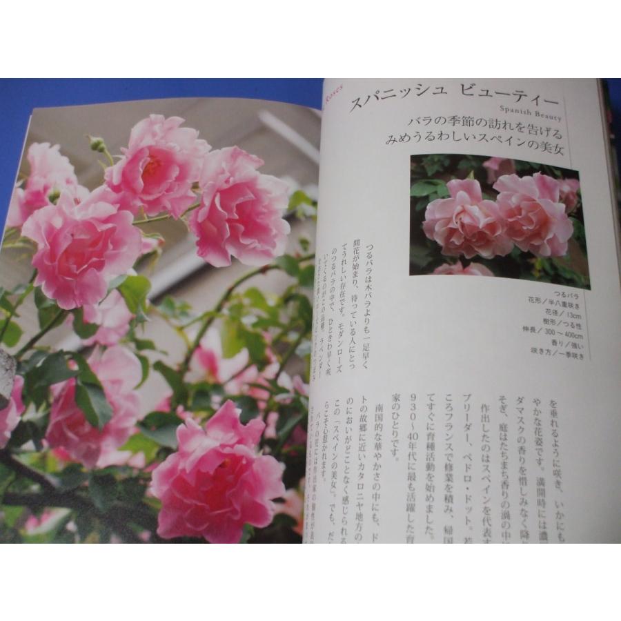 マダム高木　薔薇の手帖｜morinohirobashop｜05