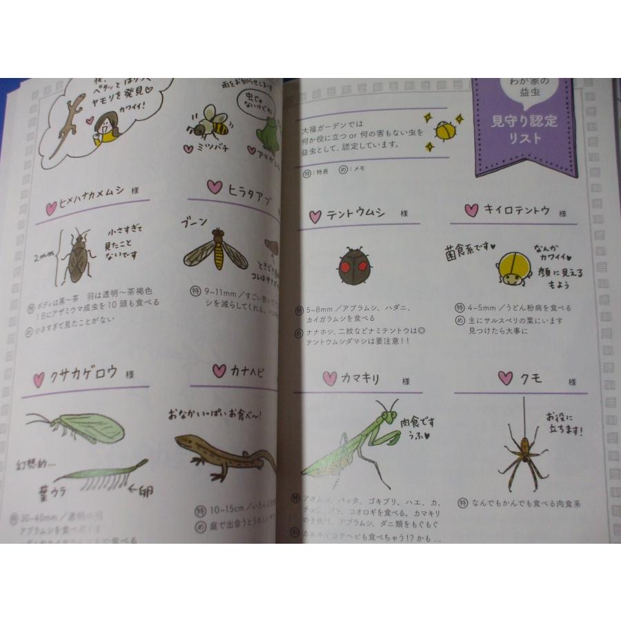 園芸はじめました 超初心者の庭作りイラストエッセイ : 森の広場ヤフー