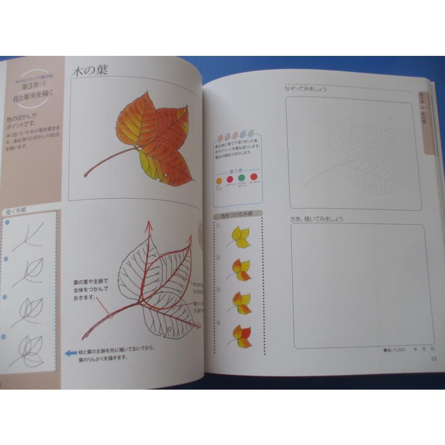 Miniスケッチ練習帖 森の広場ヤフーショップ 通販 Yahoo ショッピング