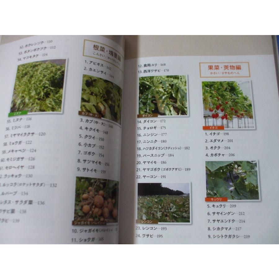 野菜 山菜ハンドブック 栽培技術 利用方法がわかる 森の広場ヤフーショップ 通販 Yahoo ショッピング