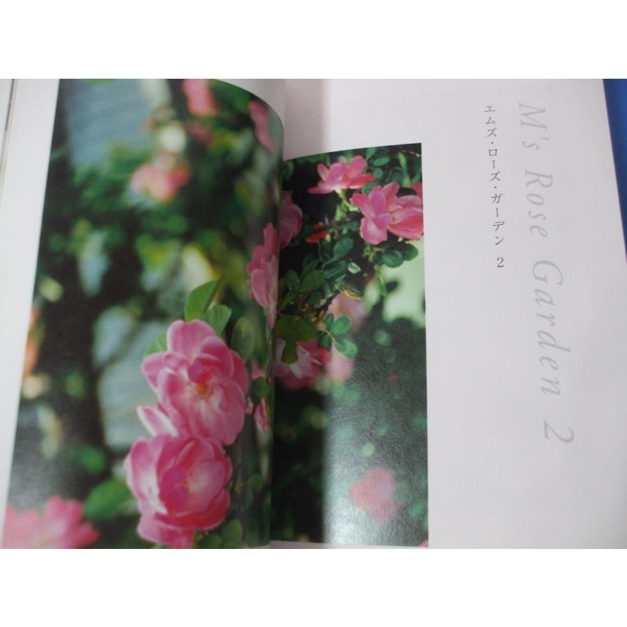 晴れたらバラ日和 森の広場ヤフーショップ 通販 Yahoo ショッピング