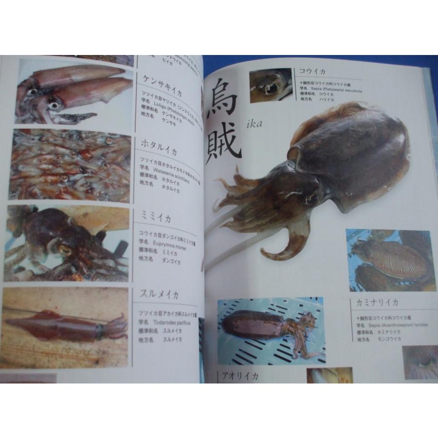 浜から伝える 魚調理事典 森の広場ヤフーショップ 通販 Yahoo ショッピング