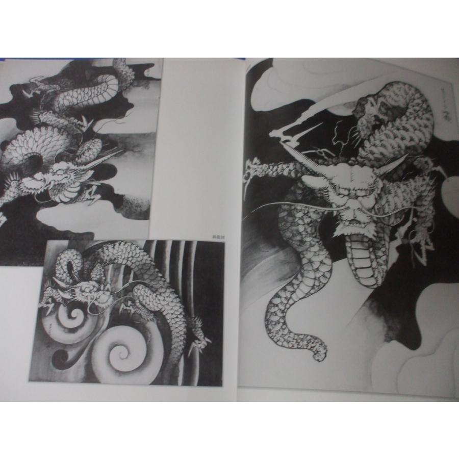 丹齋・百龍の図 伝統から創作図案まで : 森の広場ヤフーショップ