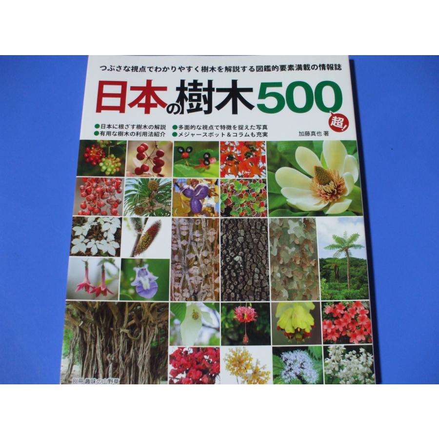 日本の樹木500超！ : 森の広場ヤフーショップ - 通販 - Yahoo!ショッピング