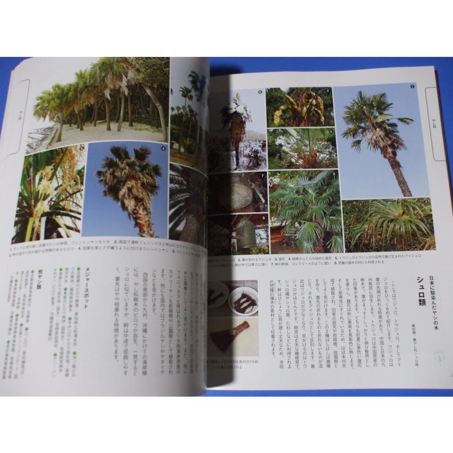 増補改定新版 日本の樹木 Amazon.co.jp: 増補改訂新版 日本の