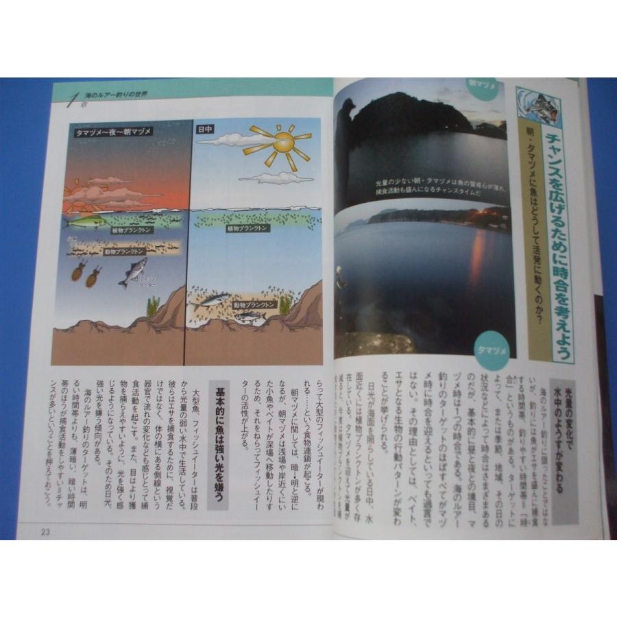 DVD付き 海のルアー釣り入門 : 森の広場ヤフーショップ - 通販 - Yahoo