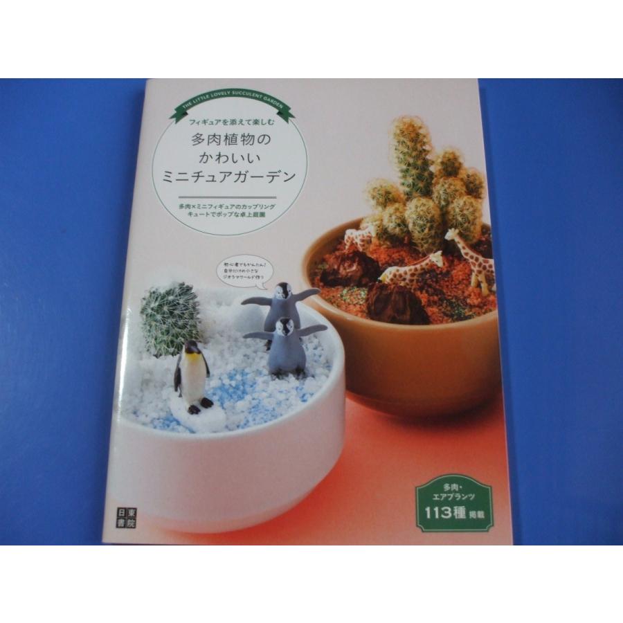 多肉植物のかわいいミニチュアガーデン P9nqx6qrvq 森の広場ヤフーショップ 通販 Yahoo ショッピング
