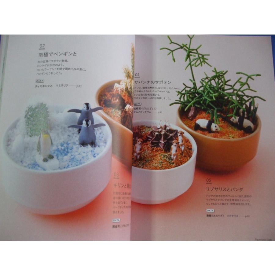 多肉植物のかわいいミニチュアガーデン P9nqx6qrvq 森の広場ヤフーショップ 通販 Yahoo ショッピング