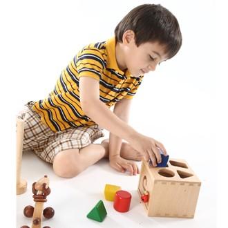 木のおもちゃ 積木 知育 プレイミートイズ PlayMe Toys  レディバグボックス E0703｜morinokobito｜02