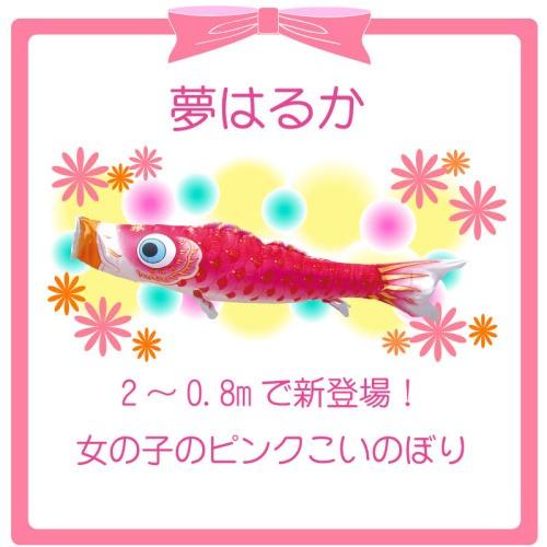 こいのぼり 徳永 鯉のぼり 夢はるか ピンク鯉 単品 1m 徳永鯉_1