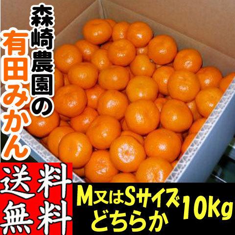 有田みかん 10kg M・Sサイズおまかせ 森崎農園 ふる里みかん ありだ
