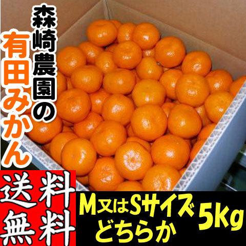 有田みかん 5kg M・Sサイズおまかせ 森崎農園 ふる里みかん ありだ