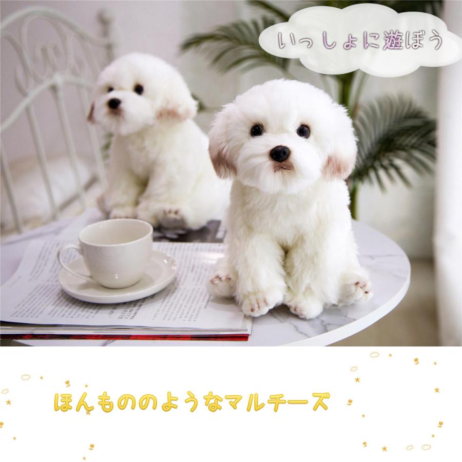 犬 ぬいぐるみ マルチーズ リアル ぬいぐるみ 誕生日 プレゼント Doll001 Morisawa 通販 Yahoo ショッピング
