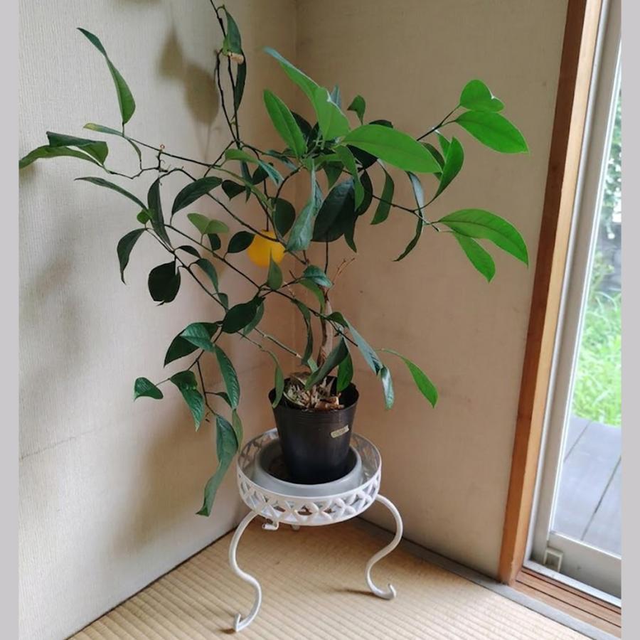 植木鉢 フラワースタンド 高25cm 2個セット プランター置き 観葉植物
