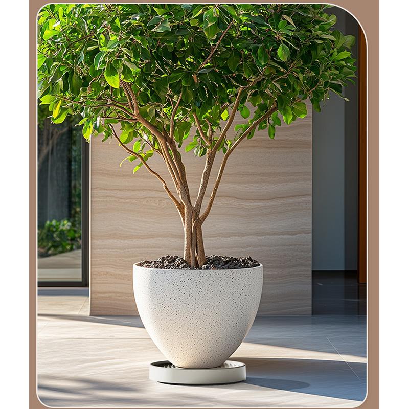 鉢皿 キャスター付き 観葉植物 移動台 水受け付き 360度回転 植木鉢台