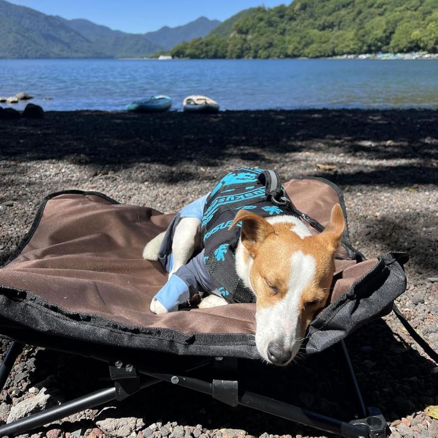 ペットコット 折りたたみ 犬 コット 犬ベッド キャンプドッグコット