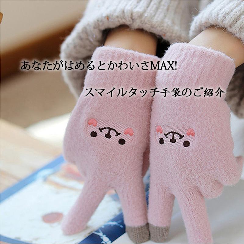 手袋 防寒 スマホ対応 レディース手袋 防寒グッズ アウトドアグローブ