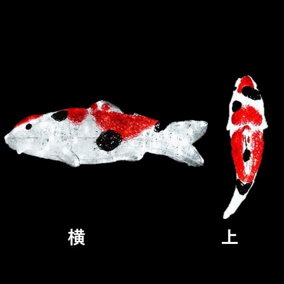 イルミネーション  LEDクリスタルグロー 鯉 三色 防雨 常時点灯の画像