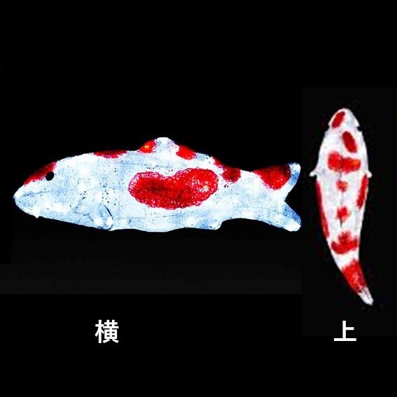 イルミネーション  LEDクリスタルグロー 鯉 紅白 防雨 常時点灯の画像
