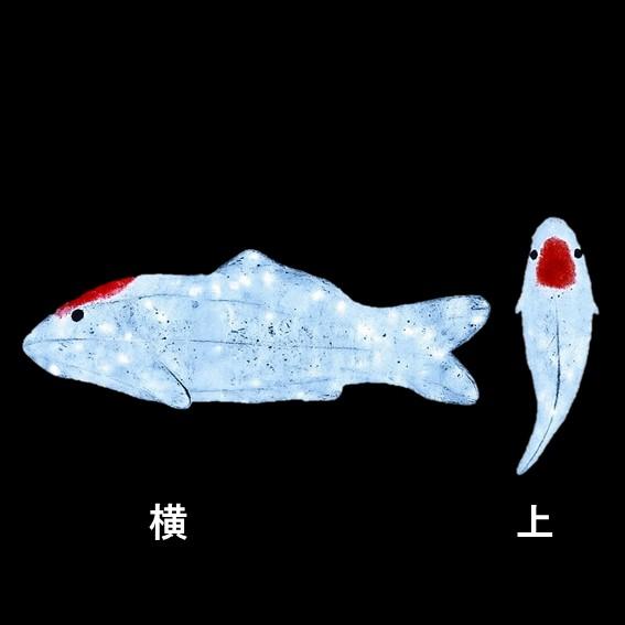 イルミネーション  LEDクリスタルグロー 鯉 丹頂 防雨 常時点灯の画像