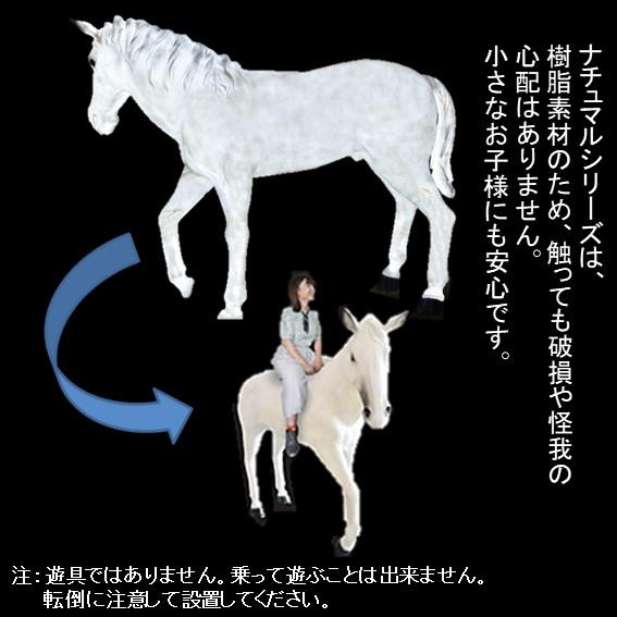 イルミネーション LEDナチュマル 白馬 常時点灯 防雨