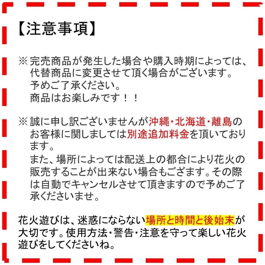 花火 セット 両面手持ち+噴出し6種セット 送料無料 手持ち花火 噴出花火 不思議メガネ付き｜morisige｜04