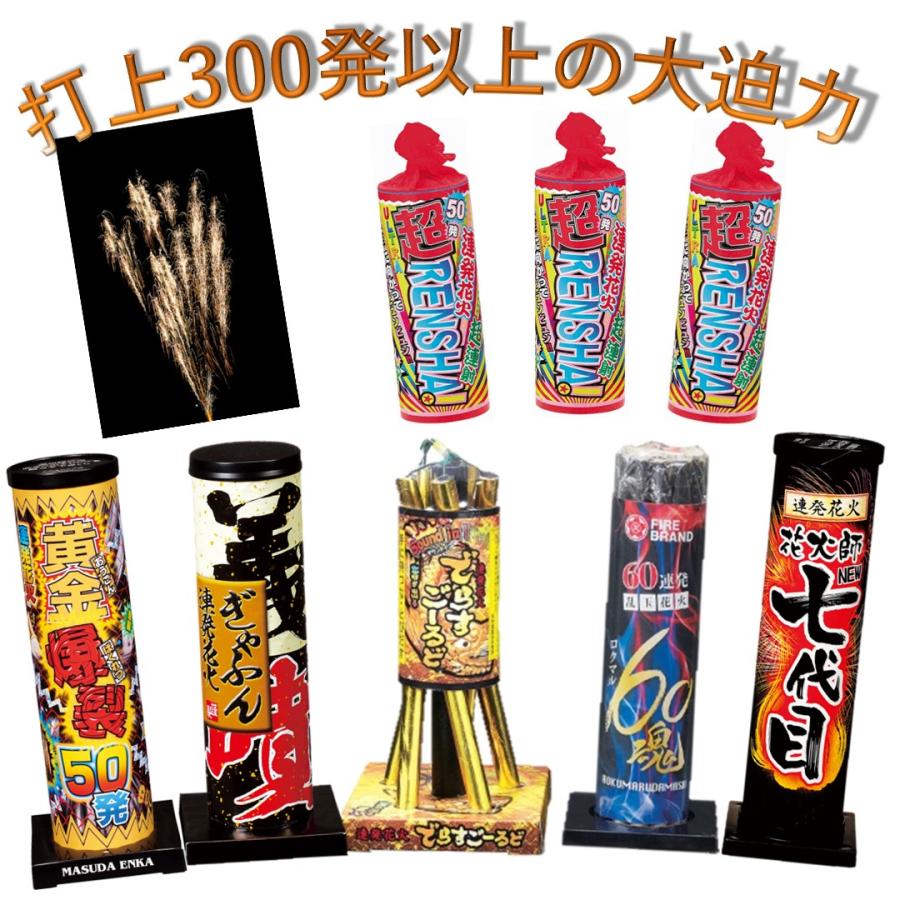 大量 花火 セット(打ち上げ、噴出、手持ち)12000円相当×2 手持ち・噴出・打ち上げ詰め合わせ（L）（対象地域送料無料