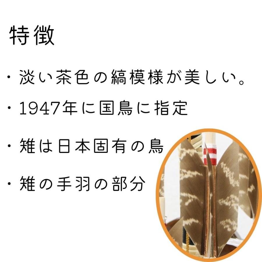 破魔弓 パノラマガラスケース飾り 6号 光 国鳥 キジホロ羽使用 : 人形