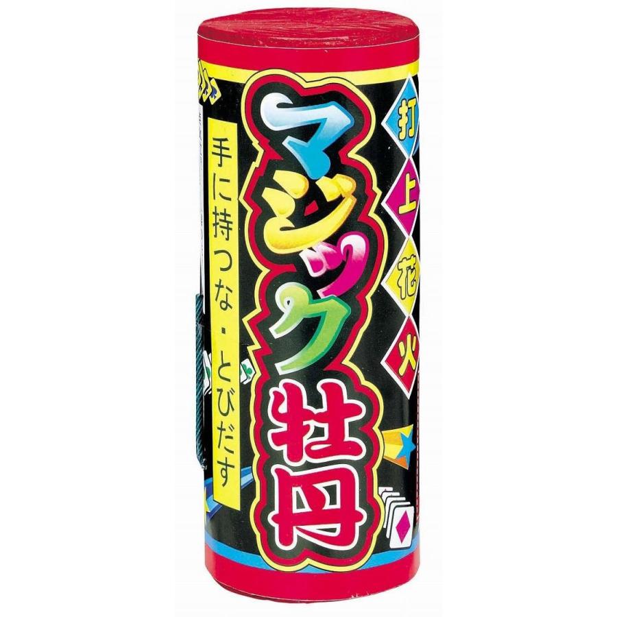 50 Off 花火 打上花火 マジック牡丹 Wantannas Go Id
