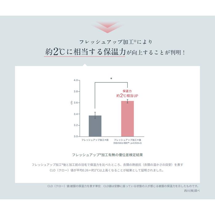 西川羽毛布団 マザーグース 西川 シングル 東京西川 ハンガリー 西川羽毛布団 マザーグース 西川 シングル 東京西川 ハンガリー
