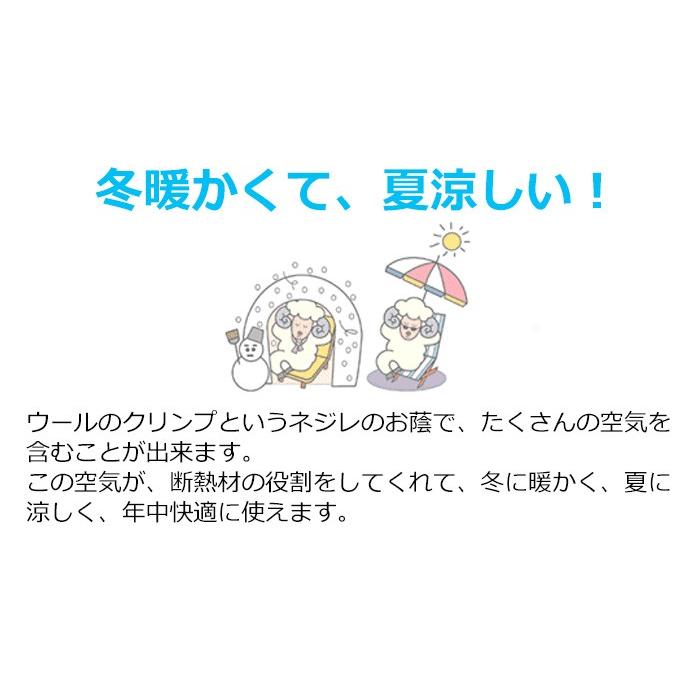 ビラベック羊毛ベッドパッド　クイーンサイズ　快適な睡眠にこだわるドイツ気質が作り上げた_5