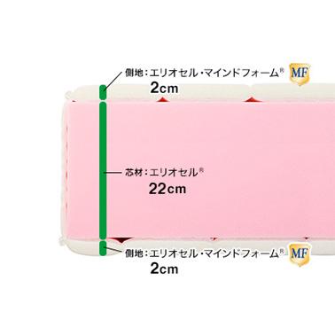 マットレス  マニフレックス ＦＭ　シングル　【マニフレックス認定ショップ】長期保証　イタリア生まれの体圧分散マットレス【送料無料】_2