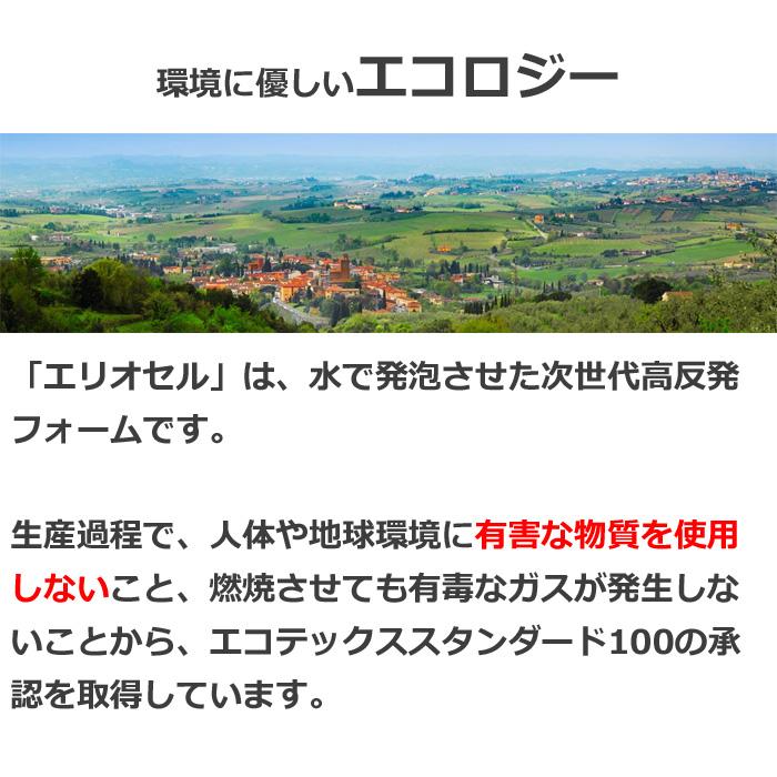 マニフレックス サステナブルウィング セミダブル 正規販売店 安心の7年保証 三つ折り 高反発マットレス イタリア製   サスティナブル ＳＤＧｓ｜morisita｜18