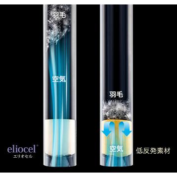 magniflex マニフレックス エア・トスカーナ エアトスカーナ 新発送