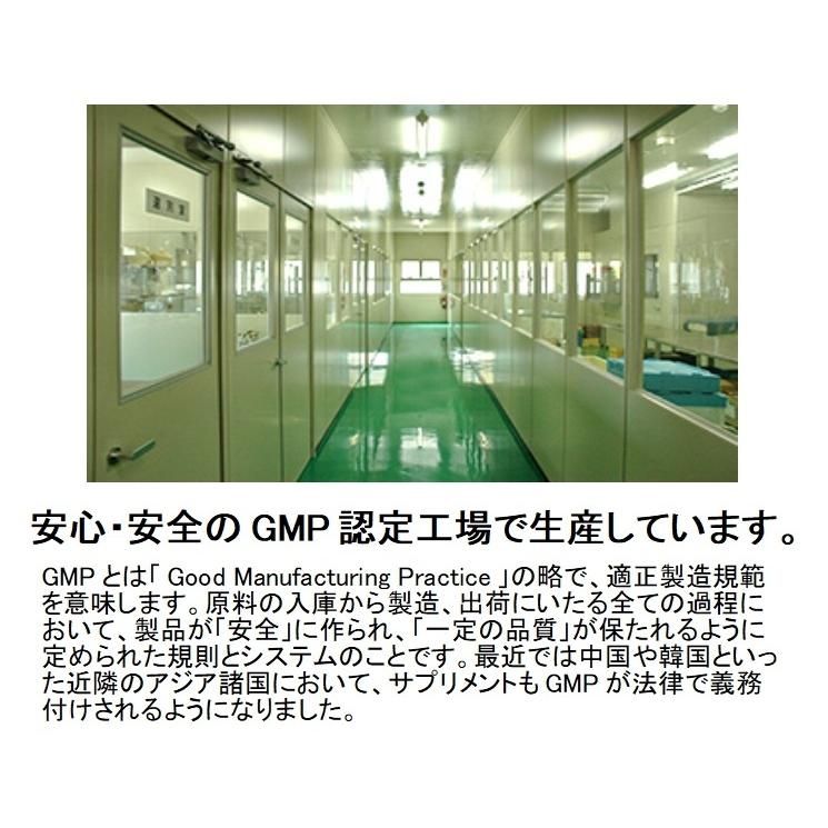 薩摩３種ウコン お試し 粉末 10ｇ（2g×5包）三種ウコン（鹿児島、沖縄産）サプリ　無農薬　霧島連山　送料無料｜morisyouten215｜06