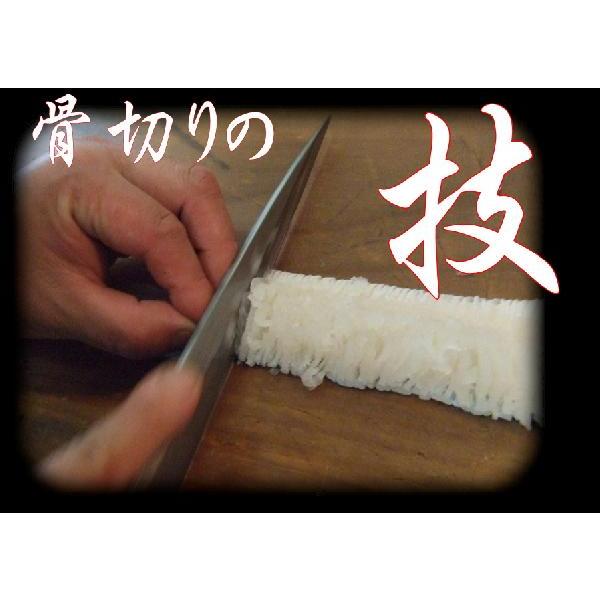 ハモ、活き 鱧 (はも)  しゃぶしゃぶ (4〜5人前) |  | 01