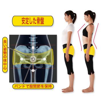 送料無料/10%OFF! ヘルスパワー バランサー バンド/股関節保持 送料無料/10%OFF! ヘルスパワー バランサー バンド/股関節保持