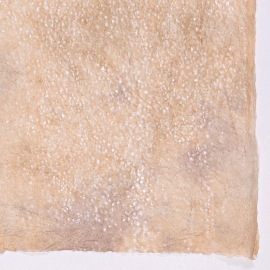 春雨ぼかし 落水紙 手漉き和紙 日本の伝統色 茶色 大判 60x93cm 因州和紙 :harusame-cya:森田和紙オンラインショップ - 通販 - Yahoo!ショッピング 春雨ぼかし 落水紙 手漉き和紙 日本の伝統色 茶色 大判 60x93cm 因州和紙 :harusame-cya:森田和紙オンラインショップ - 通販 - Yahoo!ショッピング