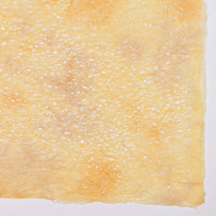 春雨ぼかし 落水紙 手漉き和紙 日本の伝統色 山吹色 大判 60x93cm 因州和紙 :harusame-yamabuki:森田和紙オンラインショップ - 通販 - Yahoo!ショッピング 春雨ぼかし 落水紙 手漉き和紙 日本の伝統色 山吹色 大判 60x93cm 因州和紙 :harusame-yamabuki:森田和紙オンラインショップ - 通販 - Yahoo!ショッピング