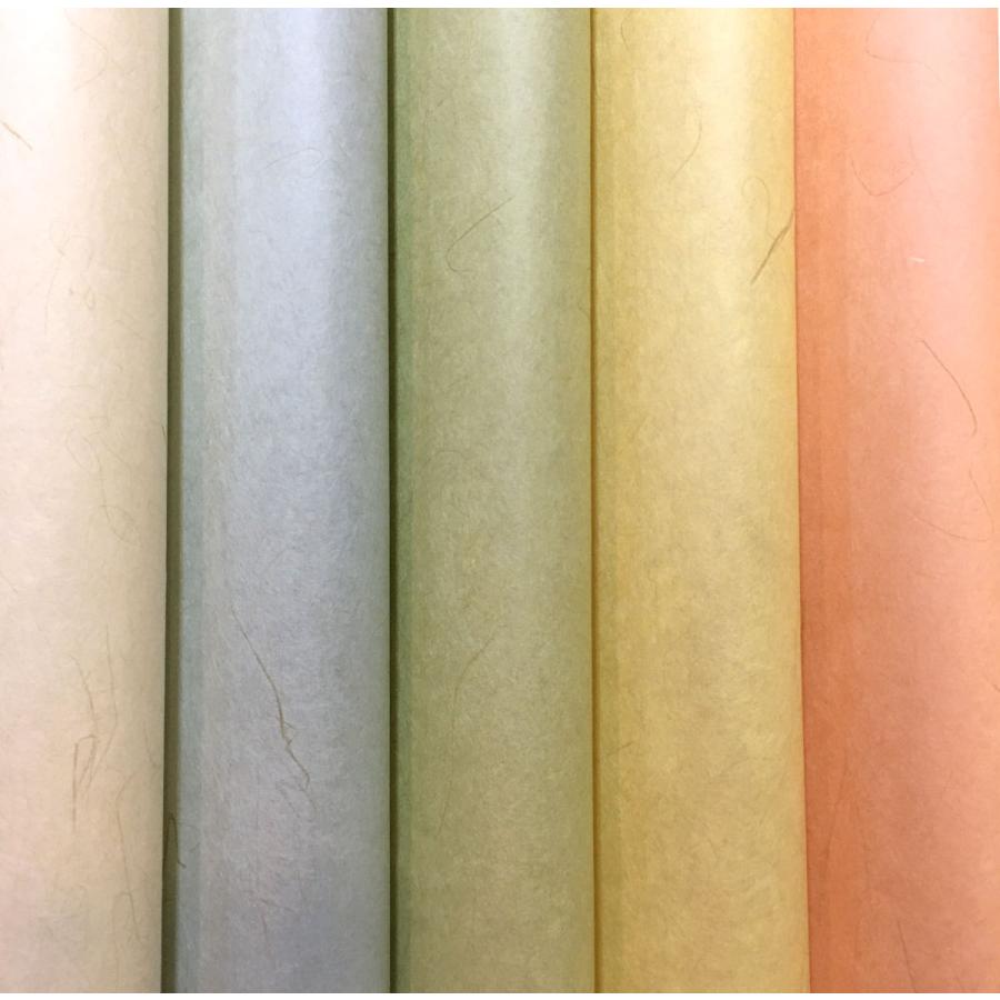 い草入り紙 機械漉 いぐさ 繊維入り 薄手 5色（生成り、水色、草色