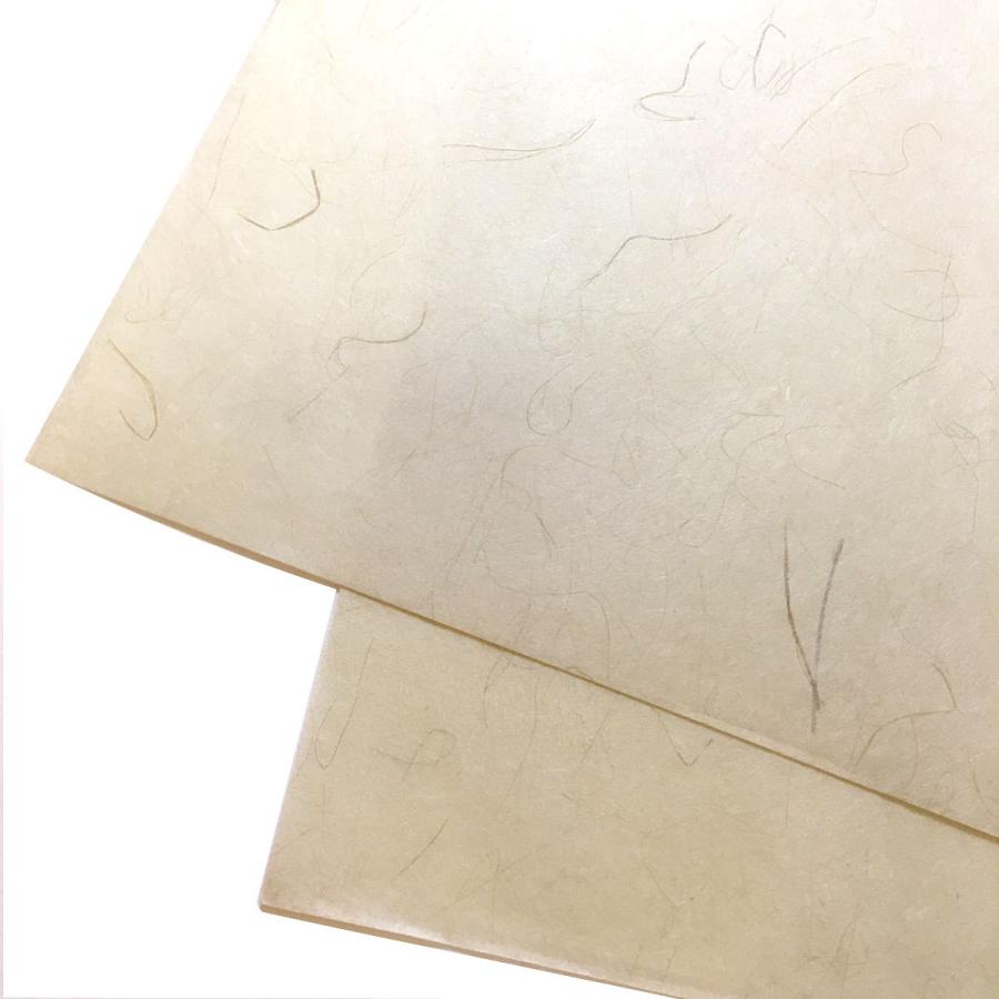 い草入り紙 機械漉 いぐさ 繊維入り 薄手 5色（生成り、水色、草色