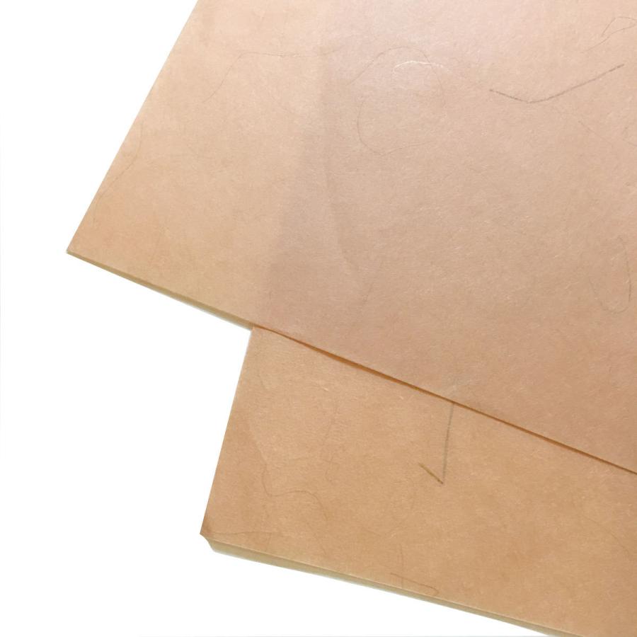 い草入り紙 機械漉 いぐさ 繊維入り 薄手 5色（生成り、水色、草色