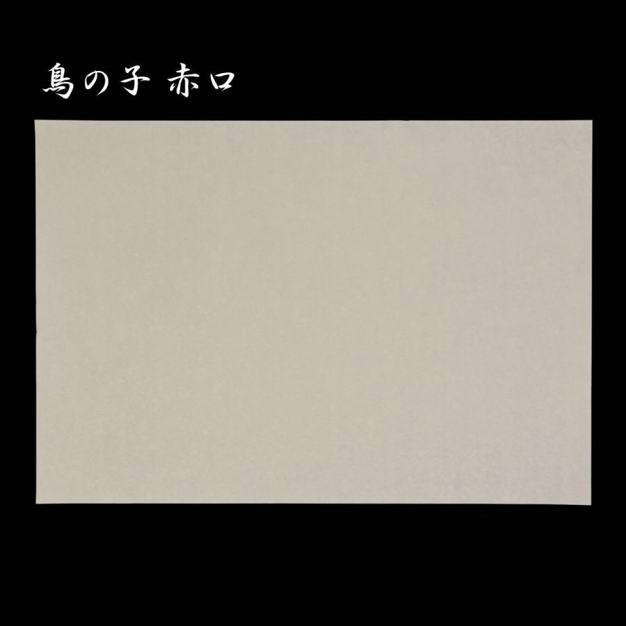鳥の子紙 赤口 手漉和紙 クリーム色 福井越前 No.892 54 x 78cm : 森田