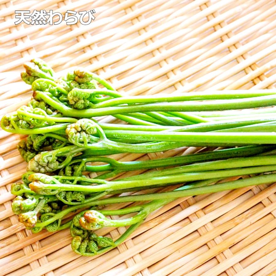 天然わらび150gx2袋 山菜水煮 国産 下処理済 簡単調理 煮物 炒め物 お