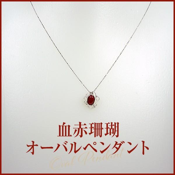 血赤珊瑚ペンダント (ジュエリーボックス入り)　品番PN1302 　日本サンゴセンター 珊瑚 さんご サンゴ sango coral 高知 産地直送