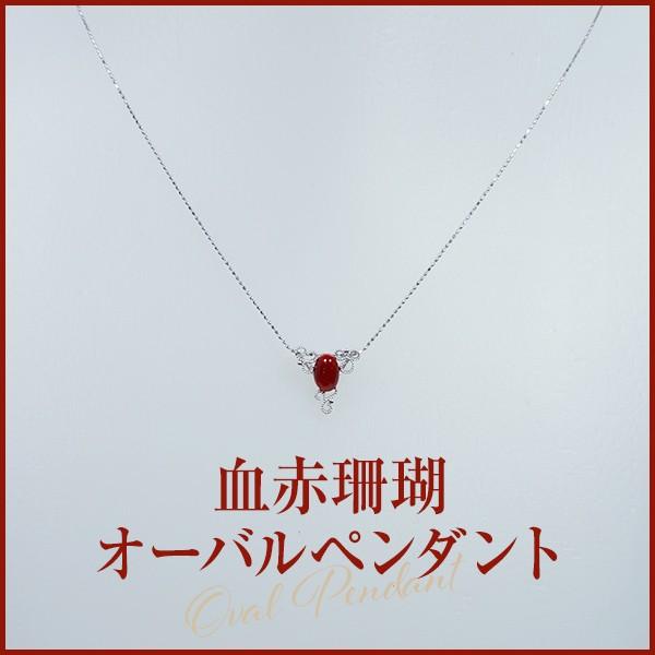 血赤珊瑚ペンダント (ジュエリーボックス入り)　品番PN1303 　日本サンゴセンター 珊瑚 さんご サンゴ sango coral 高知 産地直送