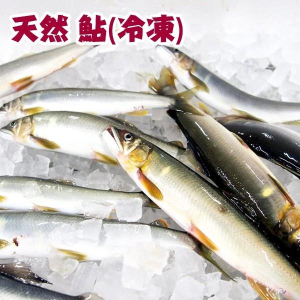 四万十川天然　鮎 （冷凍） Sサイズ　10匹セット 1匹約70g〜90g 個包装