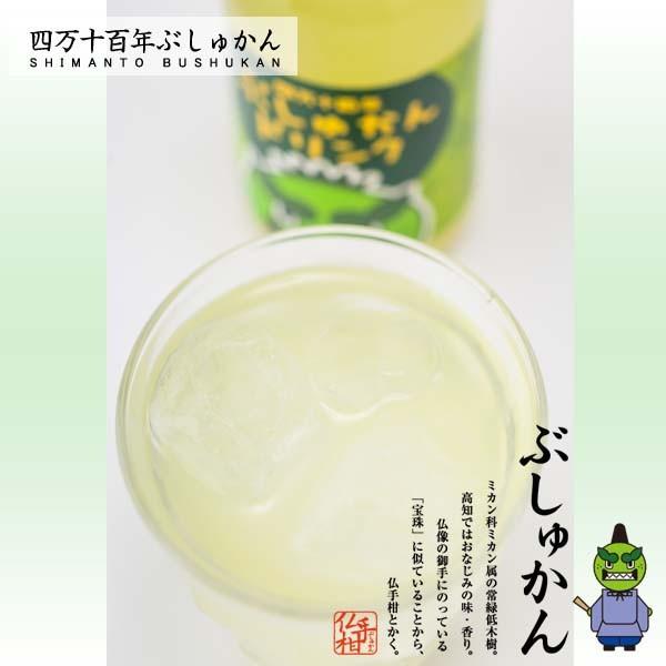 四万十ぶしゅかん 四万十百年ぶしゅかんドリンク 180ml 1本 高知県