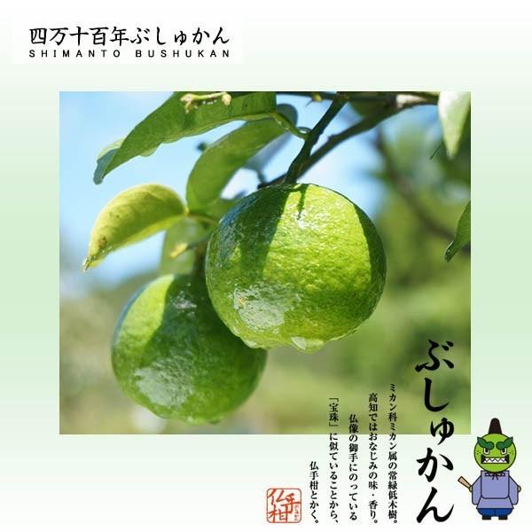 四万十ぶしゅかん ぶしゅかんぽん酢かけだれ 150ｍｌ ポン酢 温野菜 高知県 仏手柑 しまんと 柑橘 ぶしゅまろ 土佐 ブシュカン Busyukan Busyukan Ponzu 150 森徳蔵 Comヤフー店 通販 Yahoo ショッピング